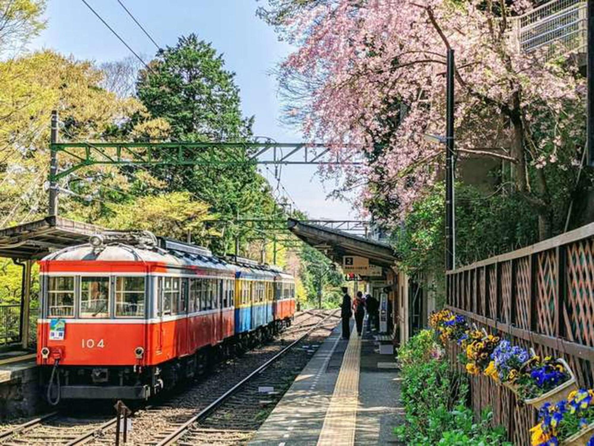 Hotel Morinokaze Hakone Sengokuhara Экстерьер фото